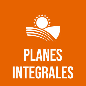 Planes integrales